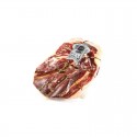 Épaule de Jamon Iberico label Blanc