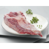PLUMA Iberica/Iberian Feather / Wing of loin